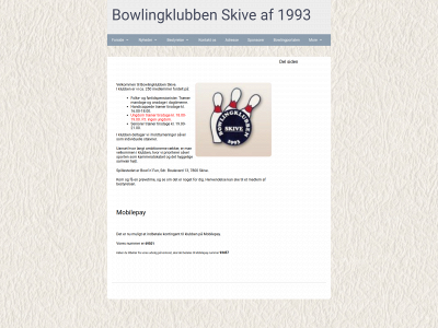 bkskive.dk snapshot