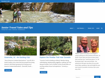 seniortraveltalesandtips.com snapshot