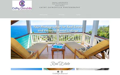 cathychinchilla.com snapshot