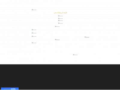 maryammi.weebly.com snapshot