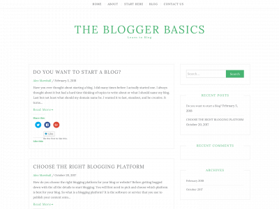 thebloggerbasics.com snapshot