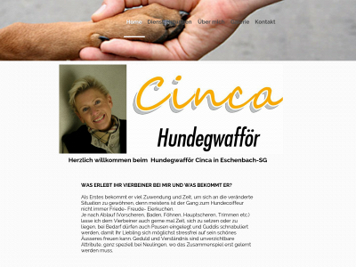 cinca.ch snapshot