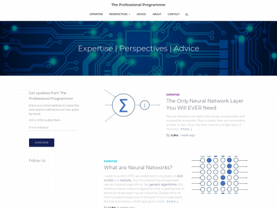 theprofessionalprogrammer.com snapshot