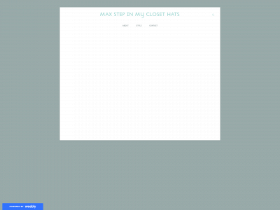 maxstepinmyclosethats.weebly.com snapshot