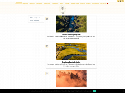 sutartine.lt snapshot