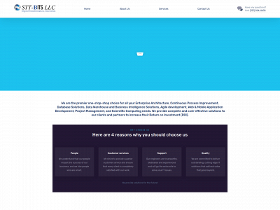 stt-bits.com snapshot