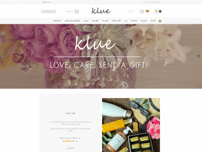 kluesa.com snapshot