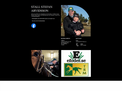stefanarvidsson.se snapshot