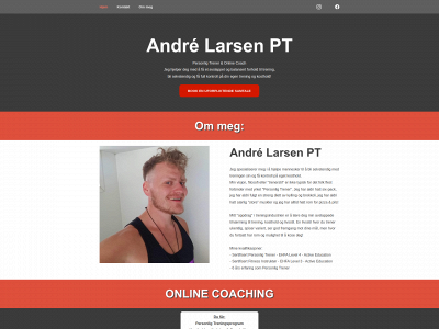 andrelarsenpt.no snapshot