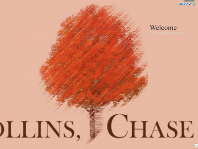 tjcollinschase.com snapshot