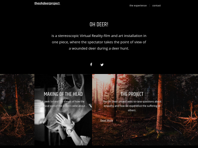 theohdeerproject.com snapshot