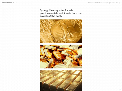 synergimercury.us snapshot