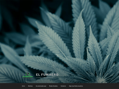 elfumaero.com snapshot