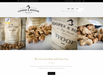 cooperandboston.co snapshot