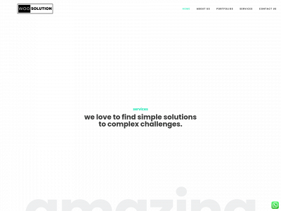 woosolution.com snapshot