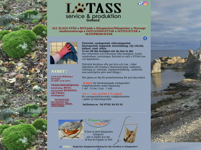 lotass.se snapshot