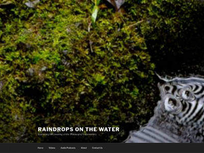 raindropsonthewater.com snapshot