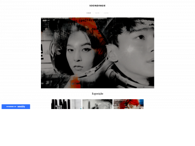 soondingie.weebly.com snapshot