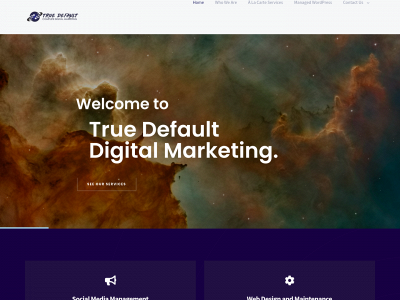 truedefault.com snapshot