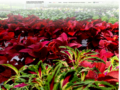 coleus.nu snapshot