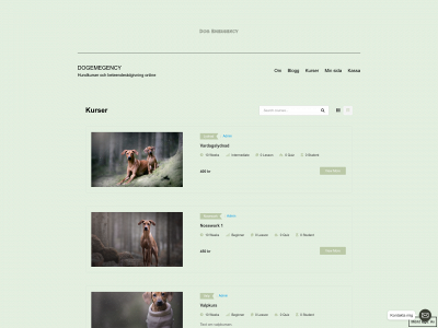 dogemergency.se snapshot
