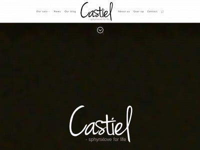 castiel.dk snapshot
