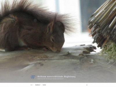 hub-schufisch.de snapshot