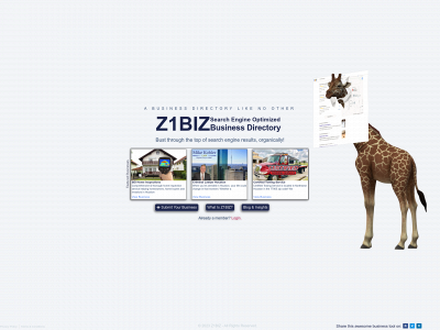 z1biz.com snapshot