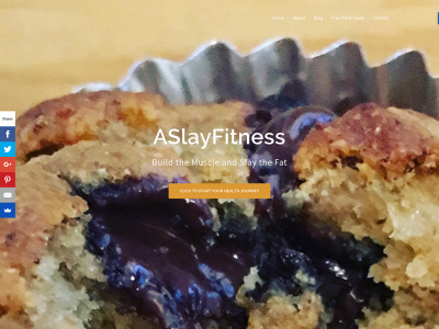 aslayfitness.com snapshot