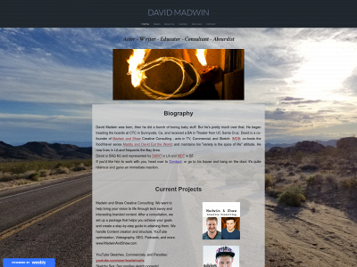 www.davidmadwin.com snapshot