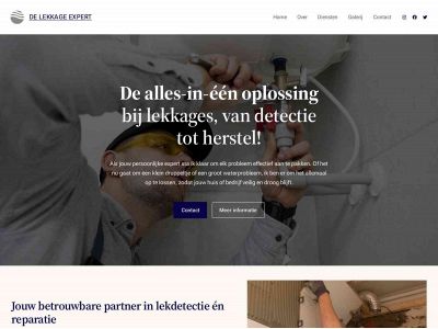 delekkageexpert.nl snapshot