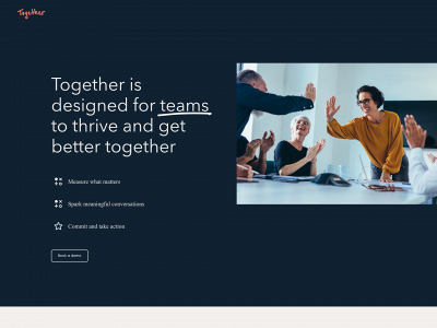 togetherteams.io snapshot