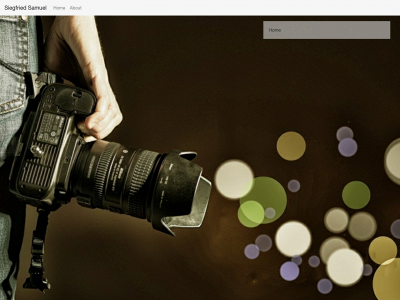 siegfriedsamuel.be snapshot