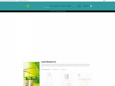 thaishopbd.com snapshot