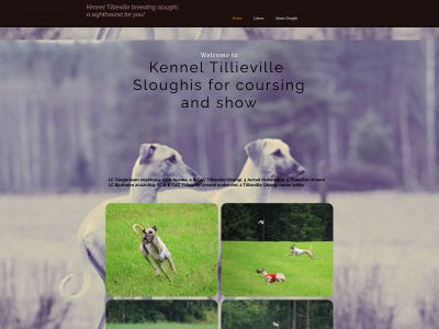 tillieville.se snapshot