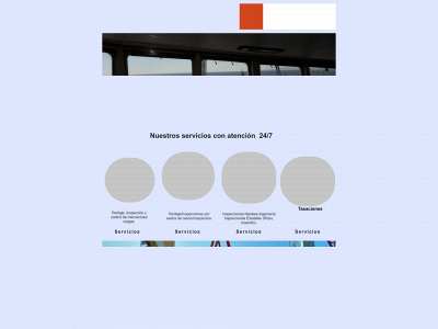 surveyorchile.com snapshot
