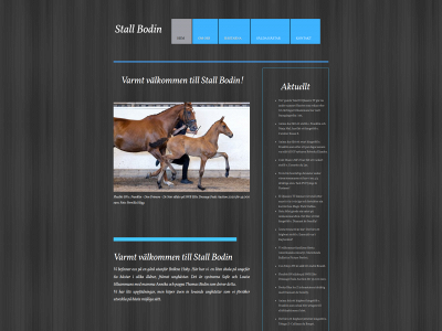 stallbodin.se snapshot