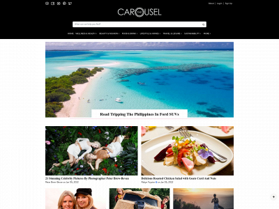 thecarousel.com snapshot