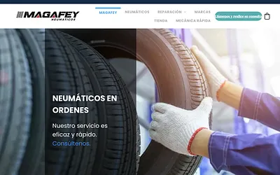 neumaticosmagafey.es snapshot