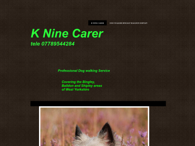 kninecarer.co.uk snapshot