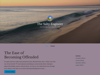 thesaltyengineer.org snapshot