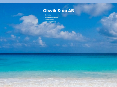 olsvik.se snapshot