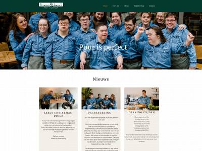 browniesanddowniesgroningen.nl snapshot