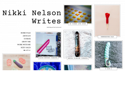 nikkinelsonwrites.com snapshot