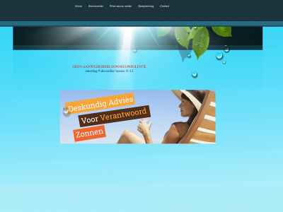 bronza.be snapshot
