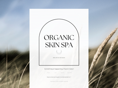 organicskinspa.be snapshot