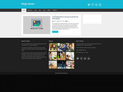 mojosmm.com snapshot
