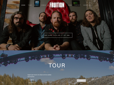 fruitionstringband.com snapshot