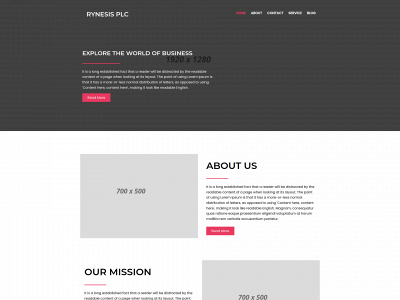 rynesisgroupplc.com snapshot