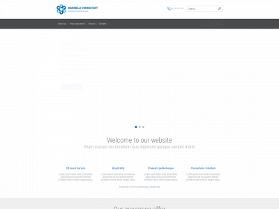 marinelliconsultant.it snapshot